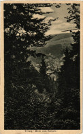 Delcampe - CPA Triberg- Blick Vom Kanzele GERMANY (904597) - Triberg