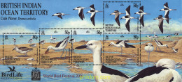 93401 MNH OCEANO INDICO BRITANICO 2001 BIRDLIFE. FESTIVAL MUNDIAL DE PAJAROS - Territoire Britannique De L'Océan Indien