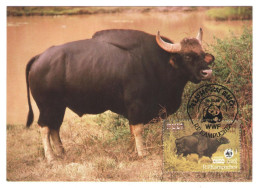 GAUR, WILD BULL, INDIAN BISON, PANDA PMK, MAXIMUM CARD, CM, MAXI CARD, 1986, R.P. KAMPUCHEA - Kampuchea