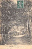 23-BOURGANEUF-SOUS BOIS AU VERGER-N 6014-H/0209 - Bourganeuf