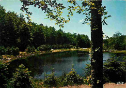 46 - La Tronquière - Etang Du Roc De La France - CPM - Voir Scans Recto-Verso - Latronquiere
