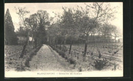 CPA Blanquefort, Domaine De Curgan - Blanquefort