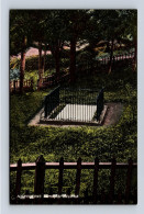 ST. HELENA - Napoleon's Tomb - T. Jackson - Sant'Elena