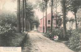 Delcampe - BELGIQUE - Cortenberg - Allée Du Bois - Route - Enfants - Colorisé - Animé - Phot M Marcovici - Carte Postale Ancienne - Kortenberg