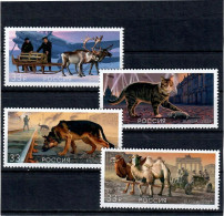 Russia 2025 . Animals In World War II. Fauna. Camels. Cats. Deer. Dogs . 4v. - Ungebraucht