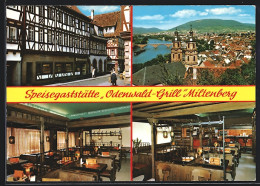 AK Miltenberg, Gasthaus Odenwald-Grill, Totalansicht - Miltenberg A. Main