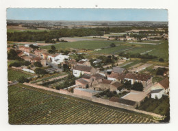 44 MAISDON  SUR  SEVRE     VUE GENERALE  AERIENNE - Moisdon La Riviere