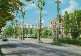 Delcampe - Mogliano Veneto / Treviso / Hotel "La Meridiana Garden" (D-A423) - Treviso