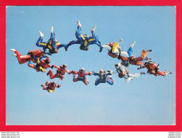 Sport-11P32 Parachutisme ""Equipe Phénix"", BE - Parachutespringen