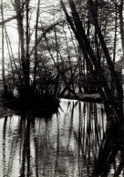 OUFFET : La Vallée Du Néblon - Photo Véritable - Ouffet