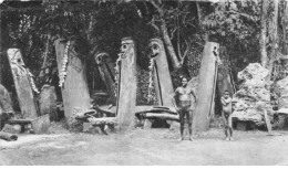 VANUATU NOUVELLES HEBRIDES #32574 DANS LE SILLAGE DE BOUGAINVILLE - Vanuatu