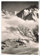 ASPP10-0505-38 - ALPE-DE-VENOSC - La Neige A Cessé De Tomber Sur L'alpage - Vénosc