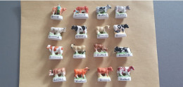 LOTS DE 16 FEVES REPRESENTANT DES VACHES - Animals