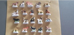 LOTS DE 20 FEVES DE CHIENS ET CHATS - Animals
