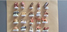 LOT DE 20 FEVES D'ANIMAUX DES BOIS - Animals