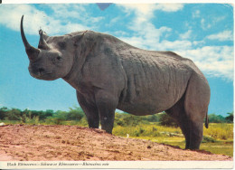 Zambia Postcard Sent To Denmark 15-2-1979 Black Rhinoceros - Zambia