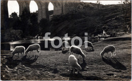 1955 REAL PHOTO FOTO POSTCARD CARBALLINO ORENSE GALICIA ESPAÑA SPAIN CARTE POSTALE - Orense