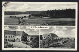 AK Leupahn, Gasthof Leupahn, Gesellschaftsgarten Und Colditzer Wald - Colditz