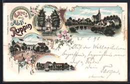Lithographie Alt-Ruppin, Goedeke`s Gasthaus An Der Langen Brücke, Neue Mühle, Möhring-Denkmal, Ortsansicht - Brück