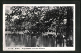 AK Lindow /Mark, Morgensonne Auf Dem Wutzsee - Lindow