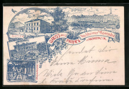 Lithographie Hochheim /Main, Payer`s Weinstube, Totalansicht - Hochheim A. Main