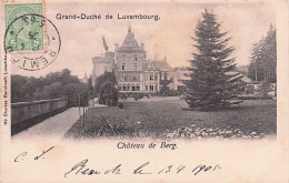 Luxembourg - Chateau De Berg - 1905 - Colmar – Berg