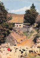 23 BOURGANEUF BERGERE SOUS LA CHAUMIERE RENTRE LES BLANCS MO - Bourganeuf