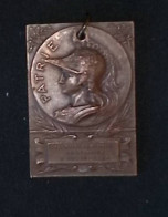 Médaille, Bronze, 55 X 40 Mm, Patrie, Pompiers, Concours De Pompes, Montdidier, 80 Somme, 1907, Frais Fr. 4.45e - Firemen