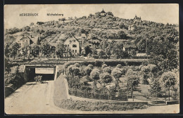 AK Hersbruck, Ortspartie Mit Michelsberg - Hersbruck