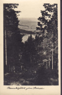 DDR PPC Höhenluftkurort U. Wintersportplatz Neuhaus Am Rennweg NEUHAUS AM RENNWEG 1956 Echte Real Photo (2 Scans) - Neuhaus