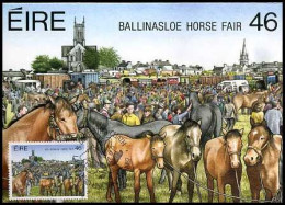 Ierland - MK - Festivals Of Ireland - Ballinasloe Horse Fair - Maximumkarten