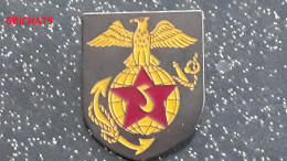 PIN S  MILITAIRE - MARINE VIETNAM VETERAN - Army