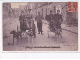 SAINT-DENIS De L'HOTEL: Attelage De Chiens - état - Coulmiers