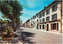 CPM 38 - Les Abrets - L'Hostellerie Abrésienne - La Place Fleurie - Les Abrets