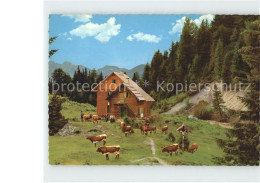 Weissensee Kaernten Naggleralm - Weissensee