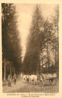 78* GRIGNON  Ecole Nationale Agriculture -allee De Folleville      RL39.1438 - Grignon