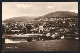 AK Miltenberg, Panorama Mit Mainbrücke - Miltenberg A. Main