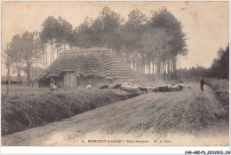 CAR-ABEP3-0258-40 - MORCENT - Une Bergerie - Agriculture - Morcenx