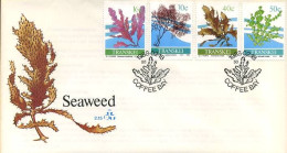 Transkei - FDC - Seaweed - Transkei