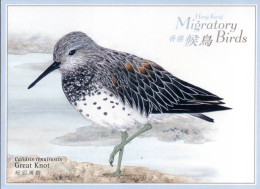 Hong Kong - Postkaart - Vogels - Altri & Non Classificati