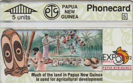 PHONE CARD PAPUA NEW GUINEA  (E117.3.5 - Papua New Guinea