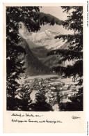APPP6-0325-AUTRICHE - MALLNITZ - In Karuten 1200 M - Spittal An Der Drau
