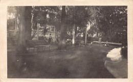 Costa Rica Port Limon Gardens RPPC Vintage Postcard - Costa Rica