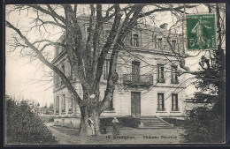CPA Gradignan, Château Poumey Avec Grand Arbre Devant L`entrée - Gradignan