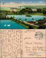 Ansichtskarte Döbeln Bürgergarten Und Rosenanlagen 1916 - Doebeln