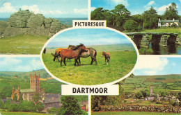 CPSM Dartmoor-Multivues-Timbre    L3858 - Dartmoor