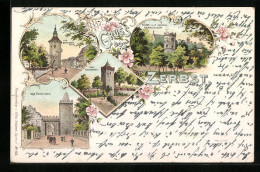 Lithographie Zerbst, Turm M. D. Herzoglichen Francisceum, Der Kiekinpott, Das Heidetor - Zerbst