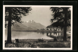 AK Silvaplana, Ortsansicht Mit Dem Piz La Margna - Silvaplana
