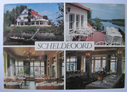BELGIQUE - FLANDRE ORIENTALE - HAMME - Café Restaurant "Scheldeoord" - Hamme