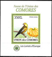 Comore/Comoros/Comores: Rigogolo, Oriole, Loriot, (Oriolus Oriolus) - Moineaux
